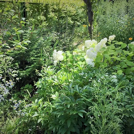 Lejlighed Garden Relax *