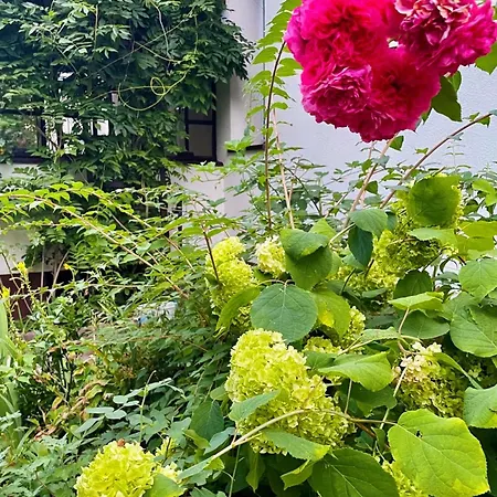 Garden Relax *