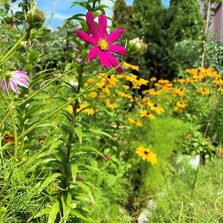Garden Relax Διαμέρισμα